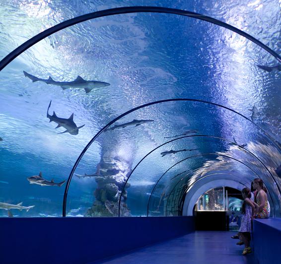 Barcelona Aquàrium